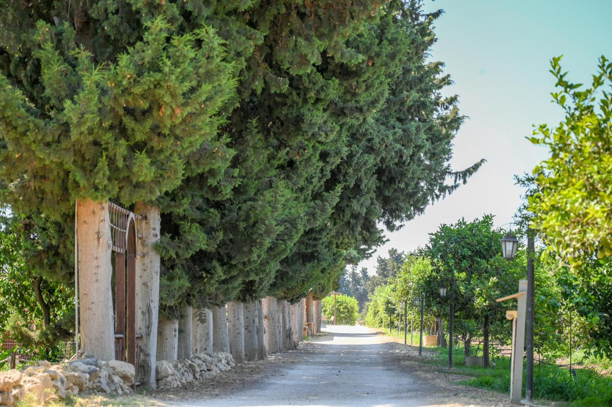 Agriturismo Torre Vendicari Noto Exterior foto